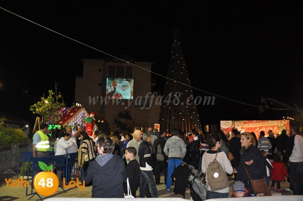 tree milad shajara (20).JPG